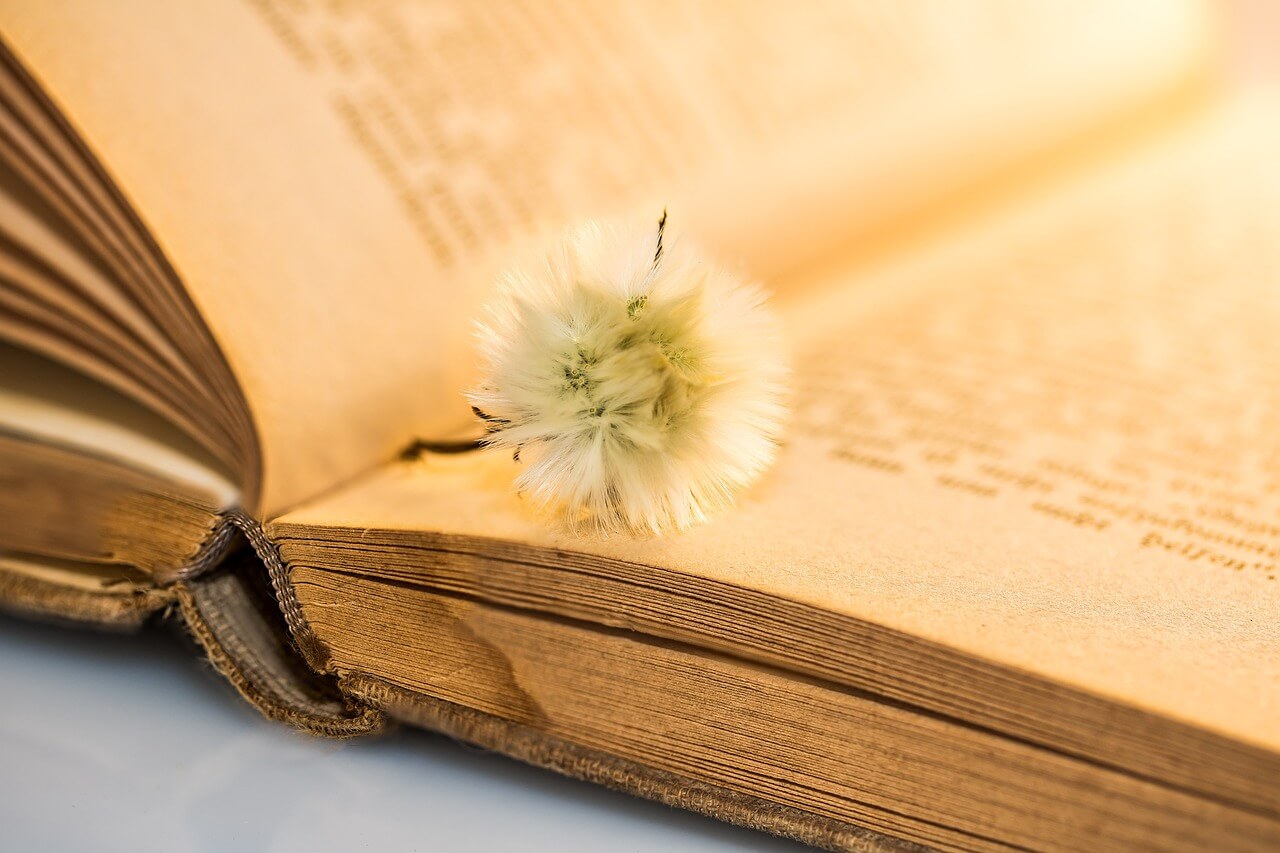 Livre ancien ouvert avec fleur